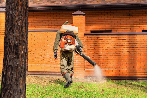 Trusted Ant Control service in Dawson Springs, KY - Nex Pest Control